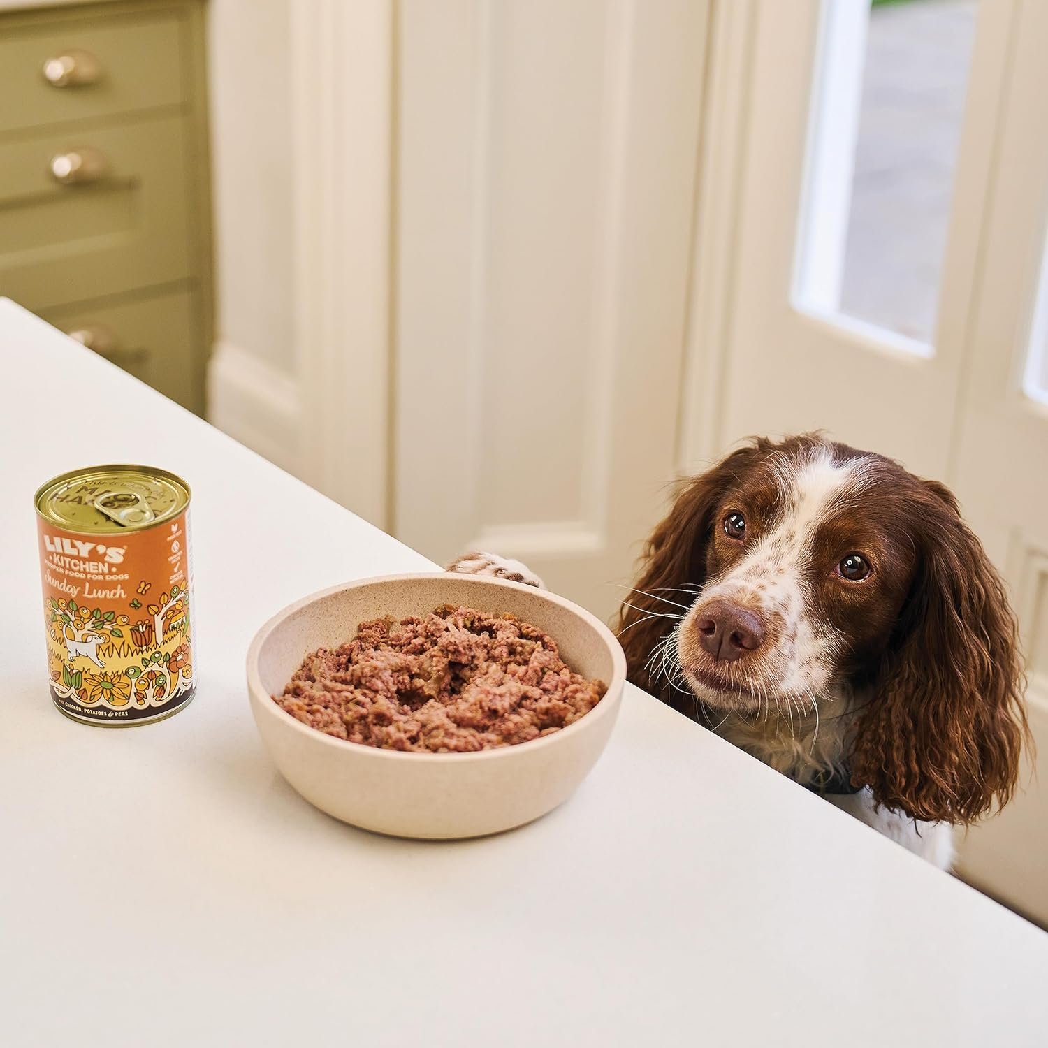 lilys kitchen wet dog food tins review