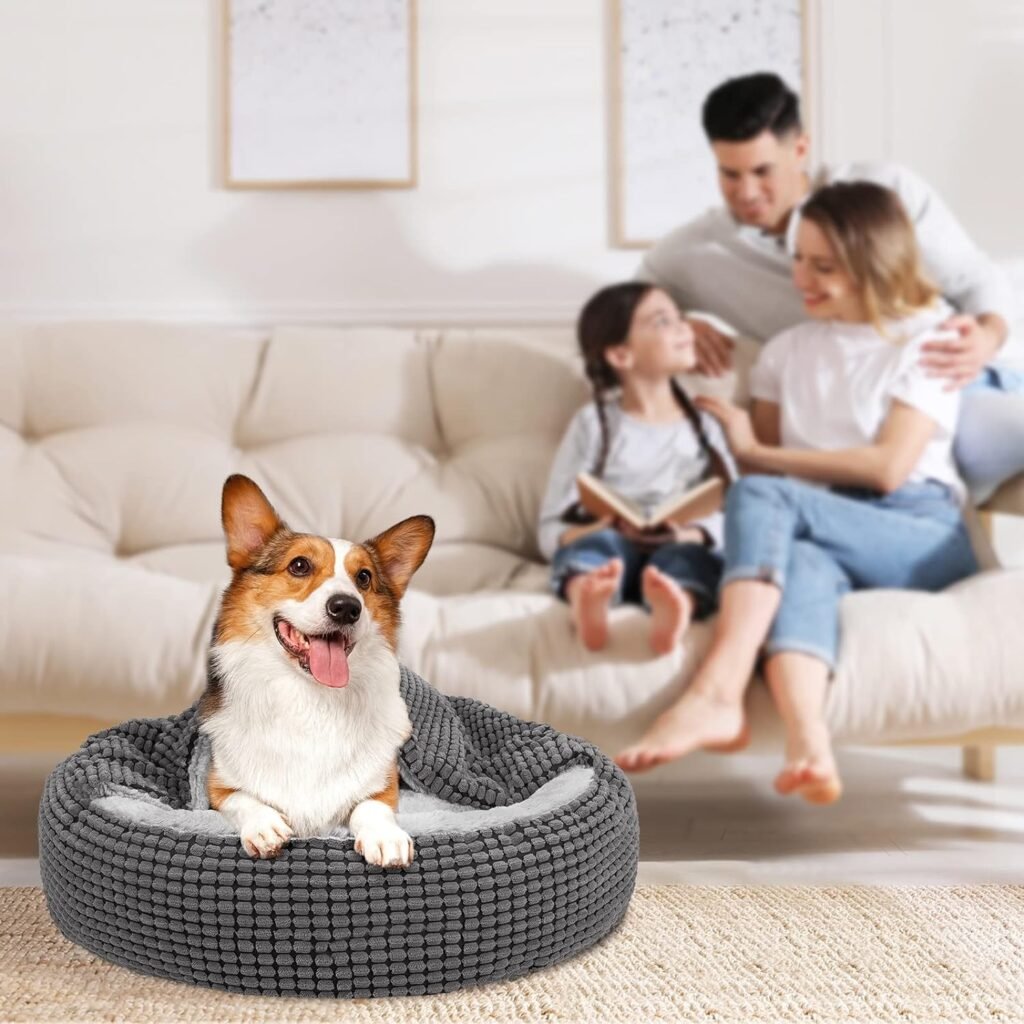 JOEJOY Round Dog Bed Calming Donut Cuddler Pet Bed for Large Medium Small Dogs, Warm Puppy Hooded Dog Cave Bed Cat Bed Medium Washable with Breathable Fluff, Fits Up To 25/30lbs Pets
